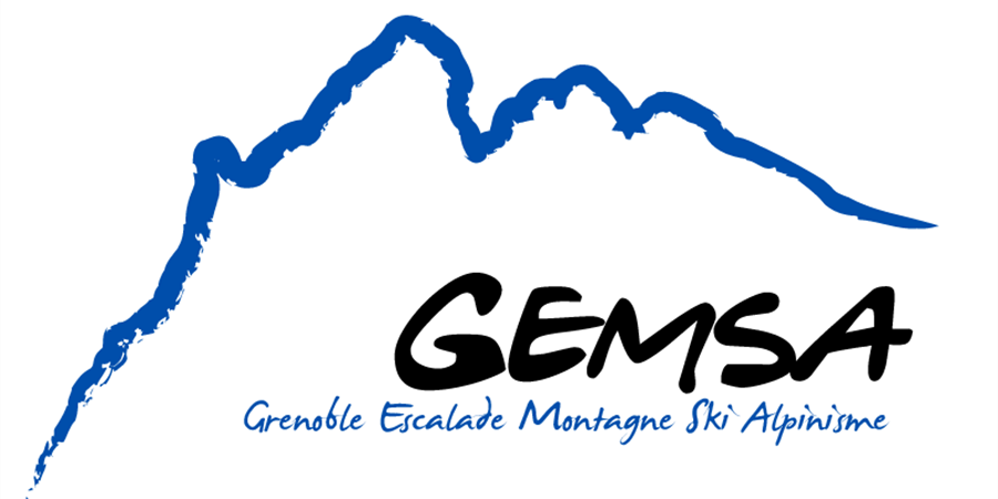 logo GEMSA